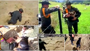 Dramatická záchrana psíka. Policajti riskovali vlastné životy