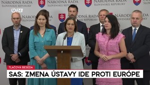 Tlačová beseda strany SaS: "Posledná výzva pre KDH"