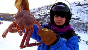 NA VLASTNEJ KOŽI. Unikátny lov krabov v Nórsku