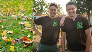 Chcete, aby bol váš trávnik na jar krásny a hustý? TÝCHTO 5 vecí s ním urobte ešte teraz!