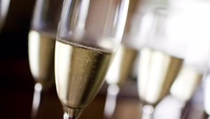 Sudca bol neoblomný. Opica z alkoholu je podľa neho jednoznačne choroba