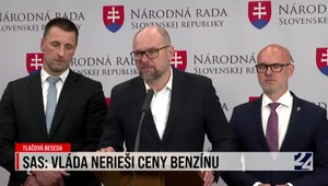 Tlačová beseda SaS: Vláda nerieši ceny benzínu