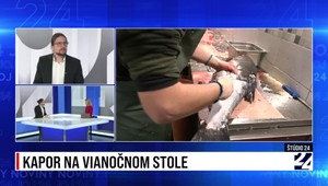 Štúdio 24: Kapor na vianočnom stole