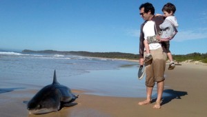 Holými rukami odvrátil útok žraloka, no prišiel o prácu