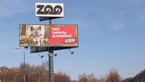 Zvieratá aj návštevníci sa konečne dočkali: ZOO v Bratislave znovu otvorili