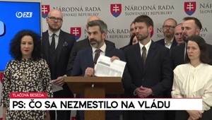 Tlačová beseda Progresívneho Slovenska: Čo sa nezmestilo na vládu