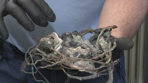 Skrat v domácnosti môže spôsobiť aj väčšie problémy než len vrásky na tvári