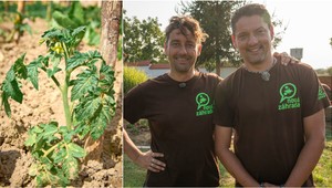 Čaká vás sadenie paradajok a paprík? Zožeňte si TENTO postrek: Zachráni vám úrodu!