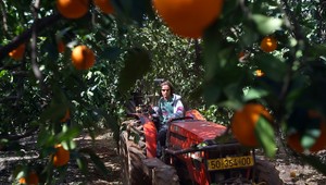 VIDEO: Oklamaní brigádnici ušli zo Španielska...