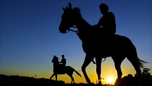 Na východe vyčíňajú zlodeji koní, chovatelia nasadili fotopasce