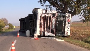 Havária kamiónu. Stovky prasiat zostali uväznené