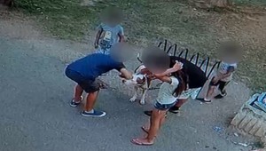 Deti dráždili psa, až kým jedno nepohrýzol. V prípade už padli obvinenia