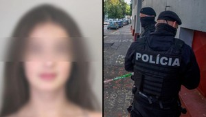 Záchranári k prípadu nezvestnej študentky: Od konania podozrivého sa dištancujú