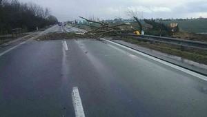 Na plynové potrubie spadol strom, spôsobuje únik plynu. Cesta je uzavretá