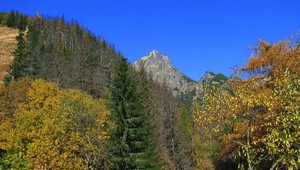 Slovenské pralesy môžu prísť o značku UNESCO