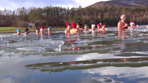 Úspech ľadových medveďov. Niekde sa ich počet zdvojnásobil