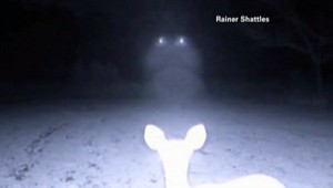 UFO na záhrade! Jediným svedkom je srnka