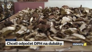 Štát chceli obrať o desaťtisíce, využiť na to chceli sedem ton dubákov