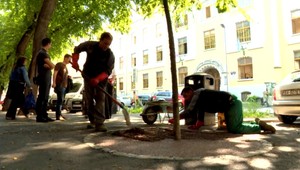 Bratislava napreduje. Stromom pomôže gumou