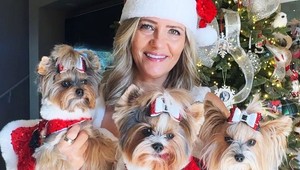 Vianoce, aké ste ešte nevideli: Z darčekov pre jej psov sa vám zatočí hlava!
