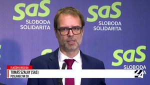 Tlačová beseda SaS k očakávaniam od nového ministra