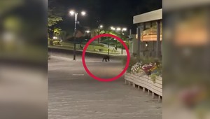 Nezvyčajný návštevník v centre mesta: Medveď sa pohyboval po pešej zóne