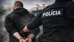 SNS navrhuje miernejšie tresty za extrémizmus. PS: „Chránenec Bombic sa už nemôže dočkať“