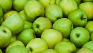 Embargo na potraviny ničí pestovateľov