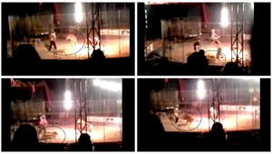 VIDEO. Tiger v cirkuse trhal krotiteľa (†35) pred očami divákov