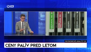 Ekonomické analýzy 24: Adresná sociálna pomoc a ceny palív pred letom