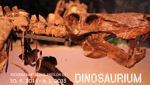 Milovníci histórie pozor: Výstava DINOSAURIUM prináša 300-miliónov rokov staré kostry a fosílie