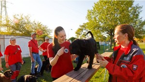 Šanca získať stovky eur na lokálne projekty práve odštartovala v Tescu