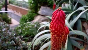 Luxusný hotel pre králiky a fotokalendár s tradíciou viac ako pol storočia - aj to prináša relácia Svet 24