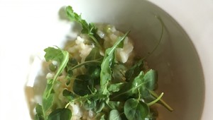 Citrónové rizoto s hráškom