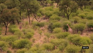 Svet 24 o tajomstve hlasu z metra ale aj o aute na solárny pohon