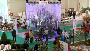 Rozkvitnutá Bratislava. Výstava Flora láka svojou krásou a zvolili aj kvet roka