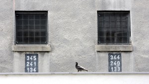 Vo väzení v Želiezovciach sa vraj robia čierne kšefty!