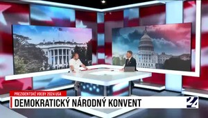 Prezidentské voľby USA 2024: Demokratický národný konvent