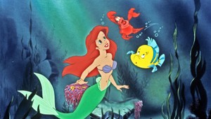 Toto nikto nečakal: Vo filmovej verzii stvárni Malú morskú vílu herečka tmavej pleti!