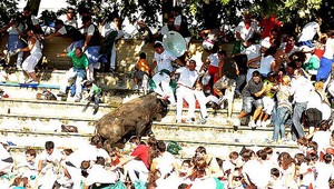 VIDEO: Býk vtrhol na tribúnu! Zranil 40 ľudí