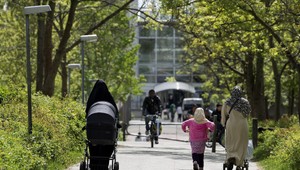 Utečenci chcú demokraciu, silného vodcu a poriadok aj za cenu násilia
