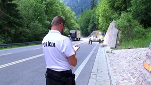 Motorkárom skočila do cesty 80 kilová jelenica. Jeden z mužov po zrážke ostal na zemi