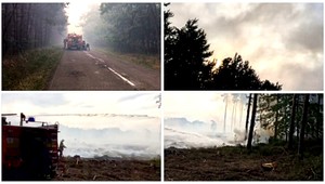 Hasiči stále pracujú na rozsiahlom požiari na Záhorí