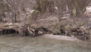 Ťažké kovy unikajúce z baní zamorili vody