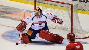 Proti Švajčiarsku nastúpi v bránke SR Hamerlík