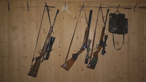 Zo zvierat si urobili živý terč. Neznámi strieľali na psy pri domoch