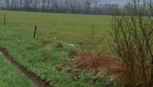 Obyvatelia majú strach. Vlky sa stanú chránenými a u nich v dedine trhajú iné zvieratá