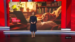 Svet 24 o čajovej kultúre, ako aj o vzniku života na Zemi