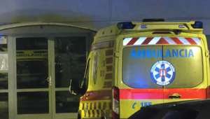 Sánkovačka sa zmenila na horor. Malé dievčatko dohrýzli ovčiaky