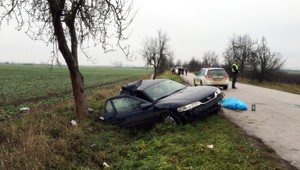 Smrteľná nehoda pri Rimavskej Sobote. Vojtech (†30) neprežil náraz do stromu